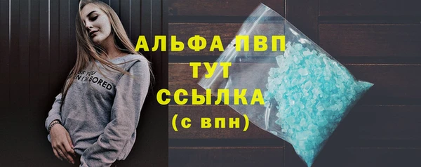 мдпв Вяземский