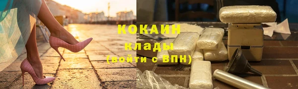 сатива Струнино