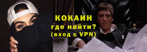 прущие грибы Сосновоборск