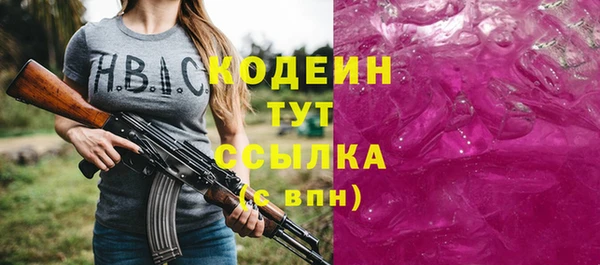 мдпв Вяземский