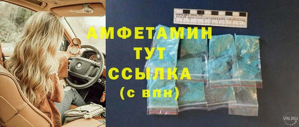мдпв Вяземский
