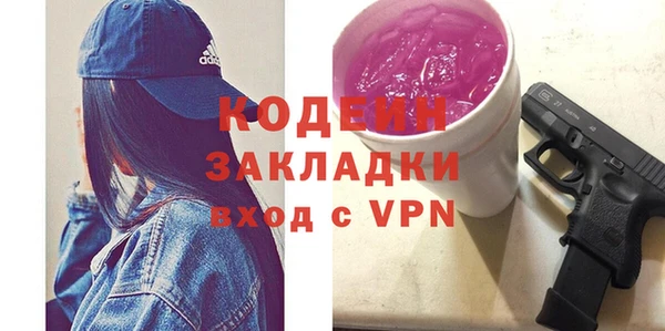 мдпв Вяземский